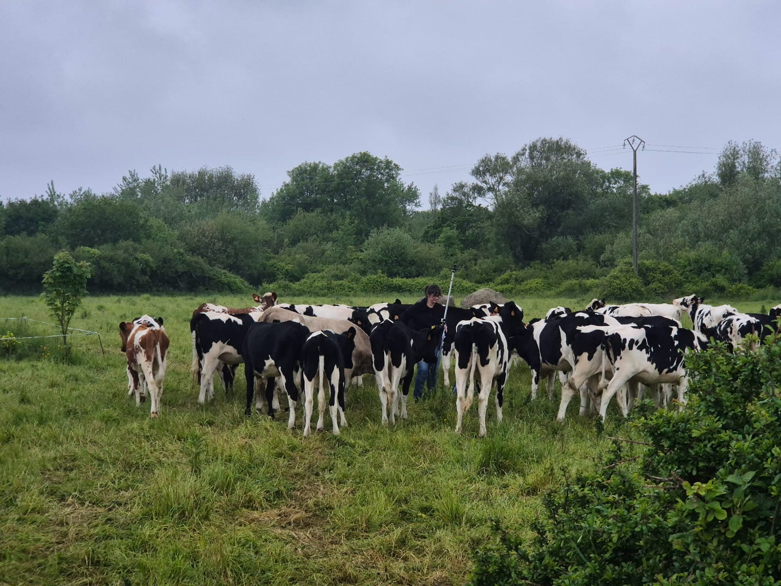 Division d'un terrain agricole