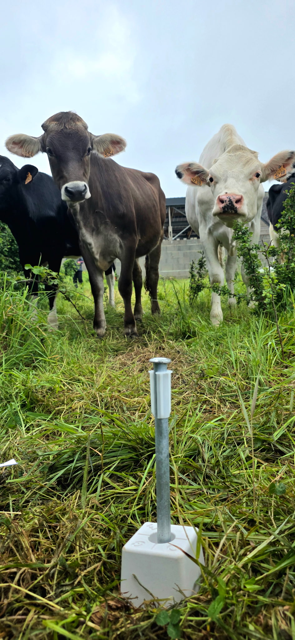 Photo 3 - Division d'un terrain agricole