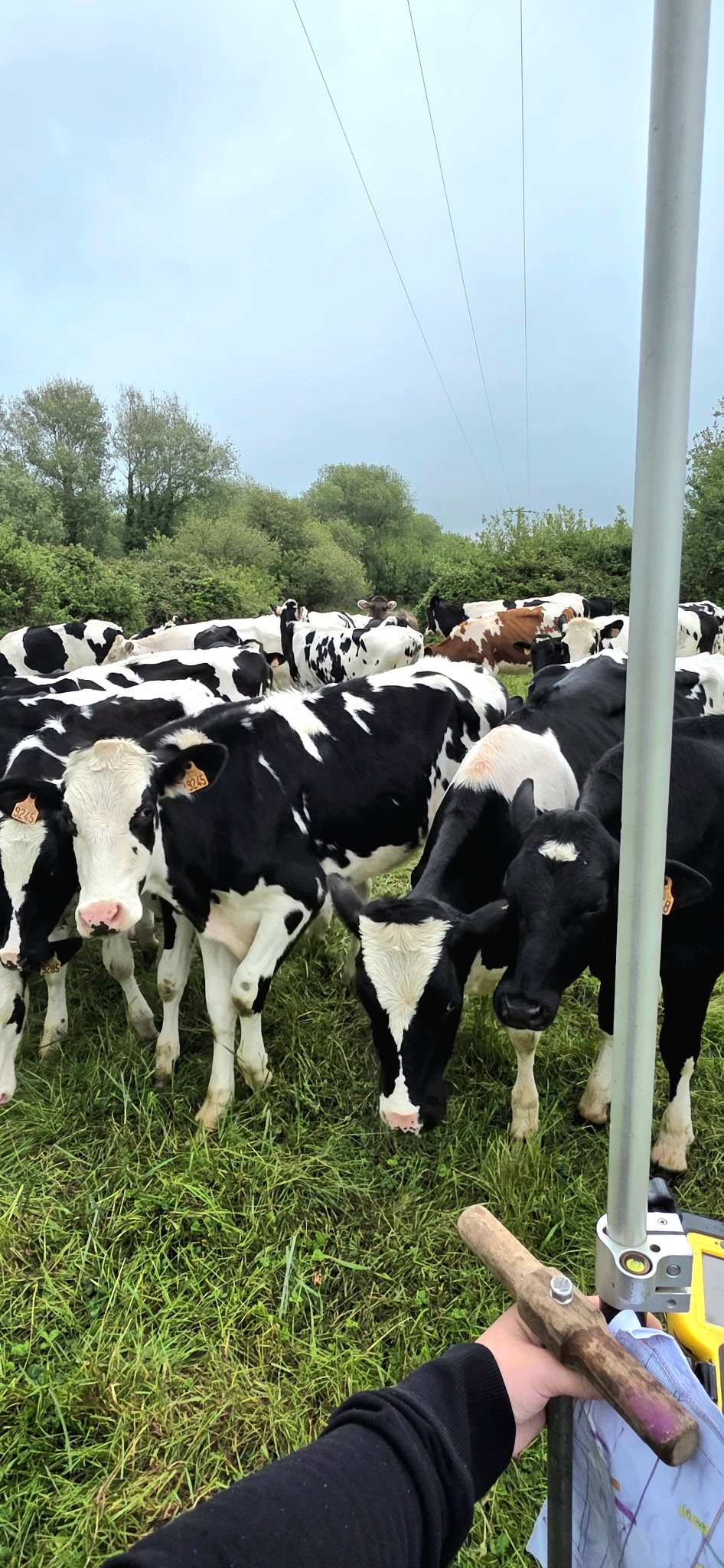 Photo 4 - Division d'un terrain agricole